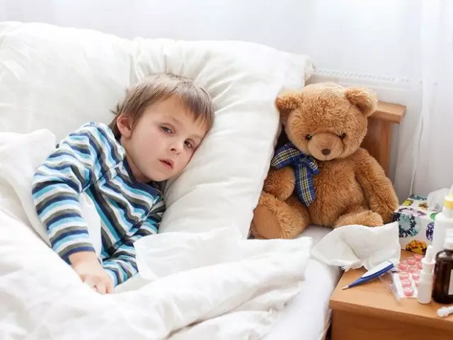 6 советов по помощи божественной собаке
