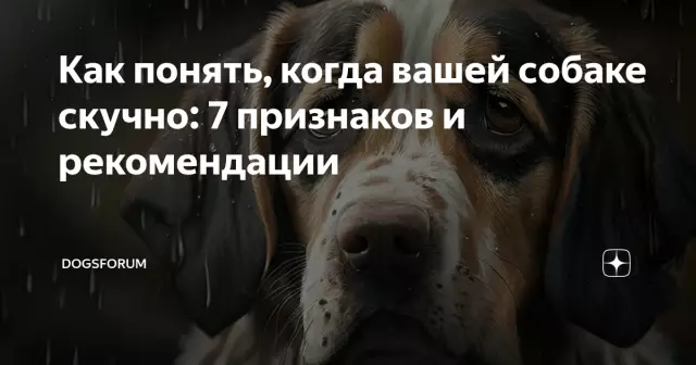 7 ключевых ингредиентов для оказания помощи вашей собаке вести счастливую жизнь