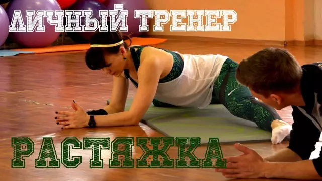 Исповедь: я тренер по собакам, который положил свою собаку на Прозак