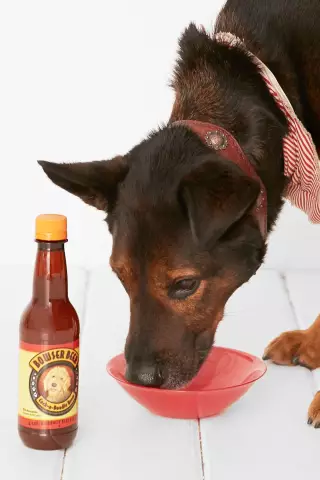 Пиво для собак? Ну, Сорт - Bowser Beer превращает счастливый час в «Yappy Hour»