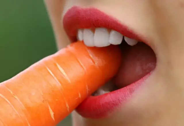 4 естественных способа защитить лапы вашей собаки круглый год