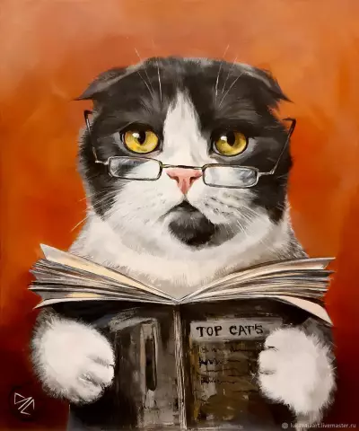 Выиграйте потрясающий пользовательский портрет кота Manda Wolfe