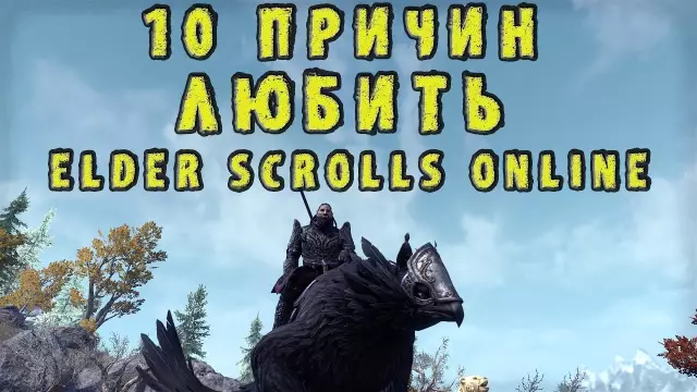10 причин любить Лукку 3-Legged Marine Hero Dog