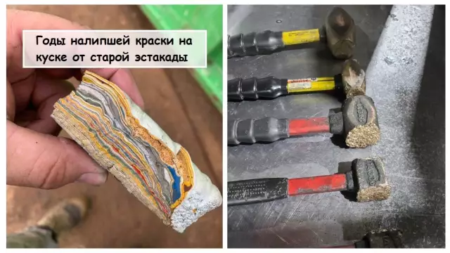 Ваша собака влияет на ваши планы четвертого июля?
