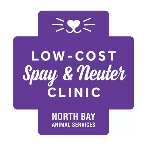 Бесплатный Spay / Neuter в FEB для резидентов SF