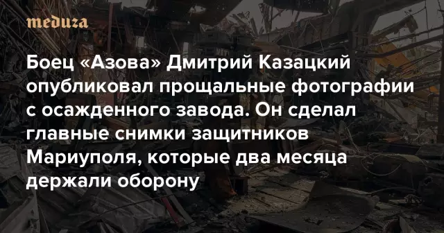 Снимки из моей жизни раскрывают две константы: черные кошки и «Звездный путь»
