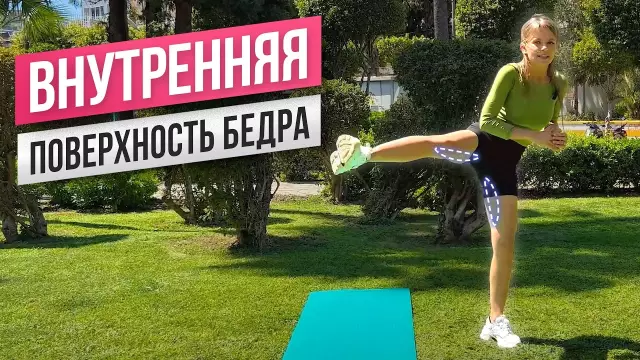 Эффективная тренировка собак не требует боли