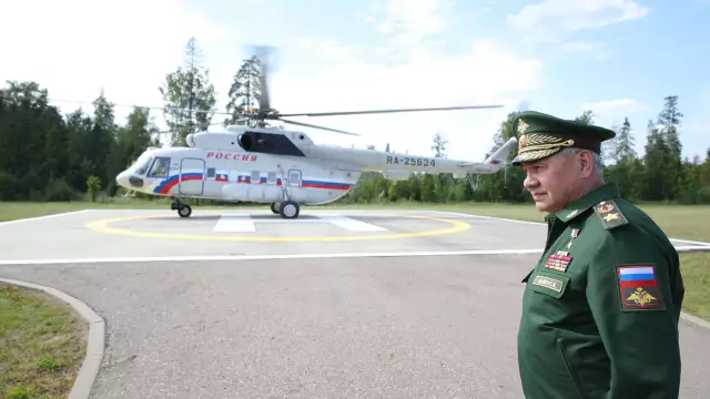 Может ли Ароматерапия помочь собакам?