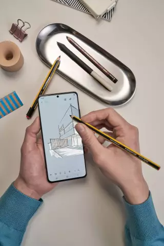 Как помочь охотничьим собакам наслаждаться жизнью без охоты