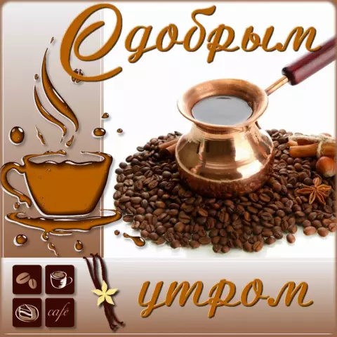 Что хорошего у стоматологов и хороших тренеров?