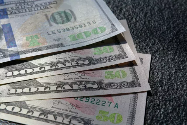 Думаете ли вы, что 600 долларов США - разумная плата за усыновление собаки?