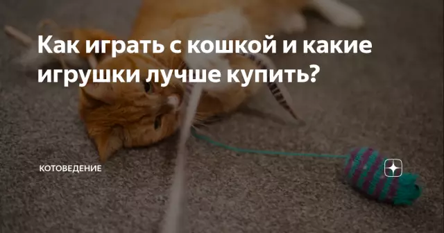 Как лучше играть с вашей кошкой
