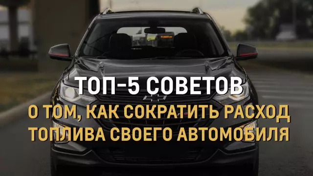 5 советов по обучению глухой собаки