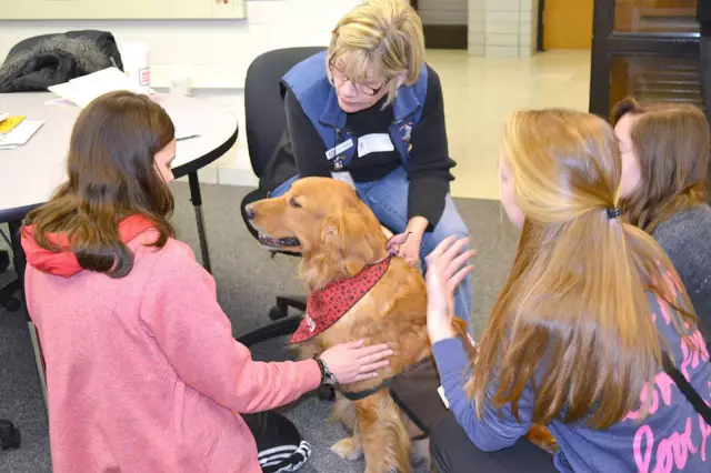 PAWSitive Therapy Troupe представляет «The Canine Nutcracker»