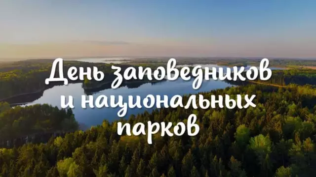 Pix We Love: День национальных кошек