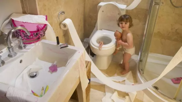 Мои 6 собак исследуют систему Potty Potty