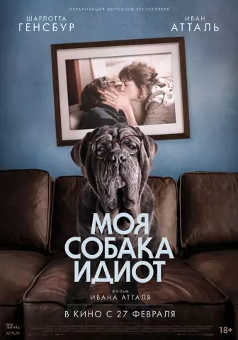 Когда ваша собака пропадает, как долго вы держите надежду?