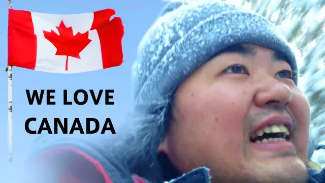 Pix We Love: Canada Shelter использует персонажей Звездных войн для приема собак