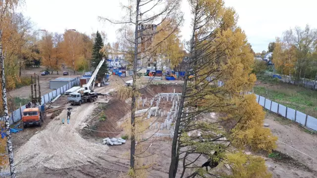 Давайте поговорим: Какая самая странная еда, которую ваша собака любит есть?