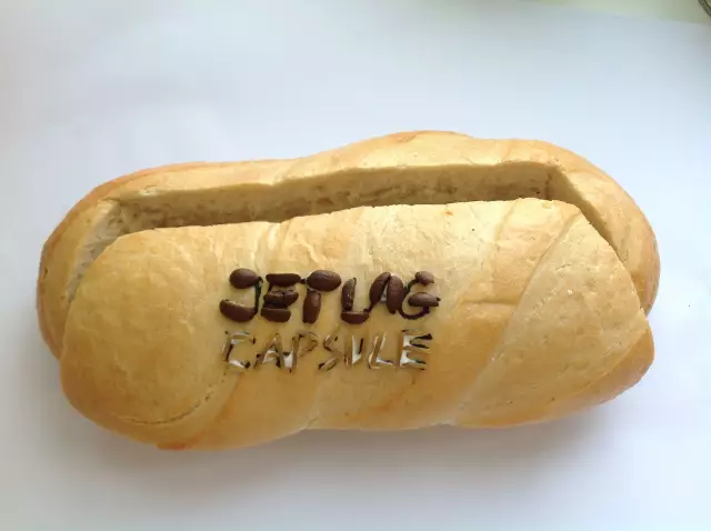 5 этапов Dog Jet Lag