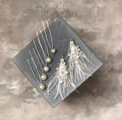 Мои собаки и я переезжаем в дом: вот как мы живем