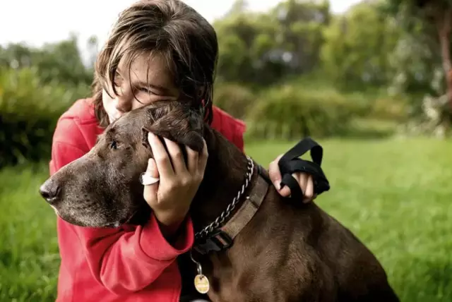 Sniff Pet Свечи: ароматы для вашей собаки - и вы