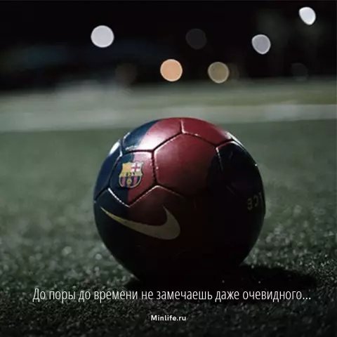 Это международные собаки, наклоняющие свой день головы! (Кто знал?!)