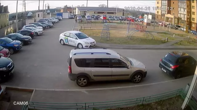 Почему полиция убивает домашних животных?