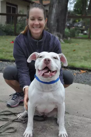 Foster Dog спасает малышей от Rattlesnake, нуждается в Forever Home