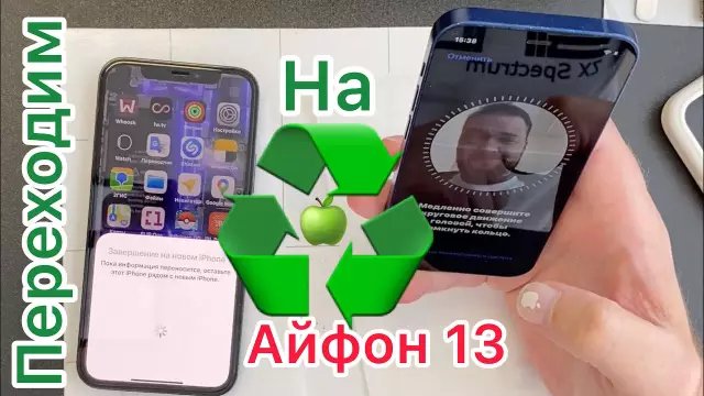 Подготовьте собак к переходу на школьный график