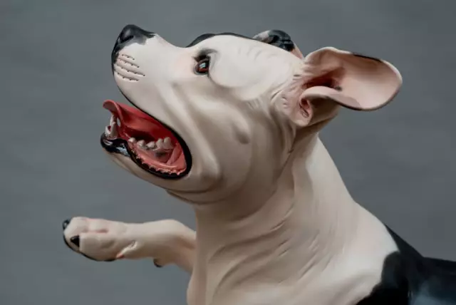 Pitties Uba и Jonny Justice Honored