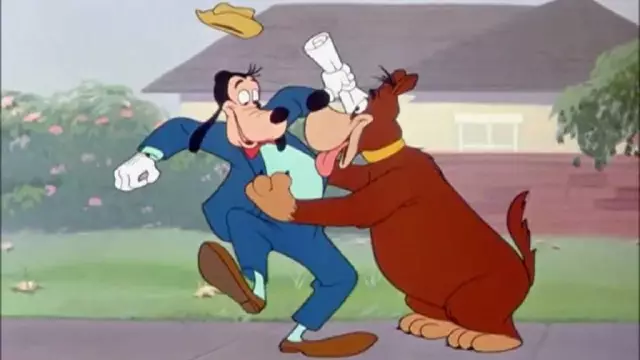 Лучший друг человека