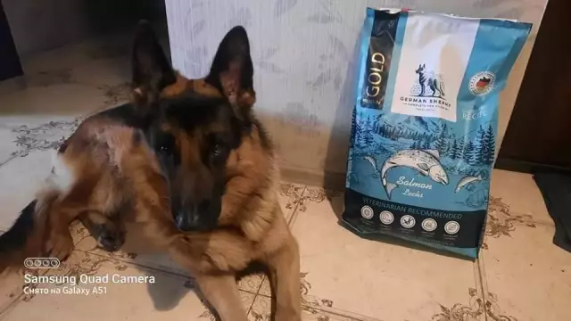 PETCO продал корм для домашних животных, изъятый у FDA под Warrrant: 16 пострадавших