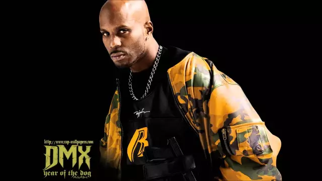 Рэпер DMX Busted для злоупотребления и убийства собак, Rapper утверждает, что он этого не делал