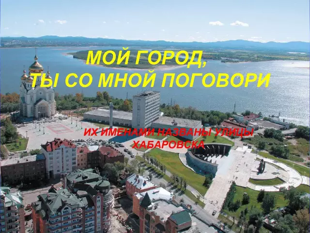 Мой кот «поговори со мной», используя свой хвост?