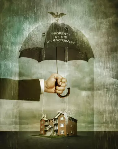 Pix We Love: «Finding Shelter» захватывает связь между собаками-добровольцами и добровольцами