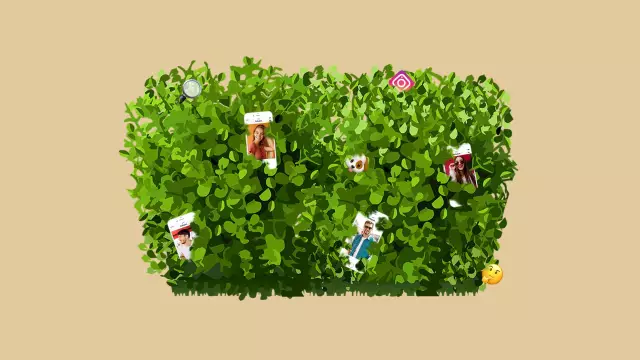 15 способов узнать, что вы являетесь родителем Instagram Pet