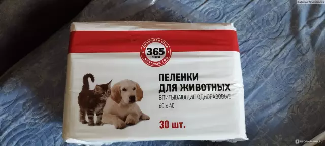 Помощник спасения животных помогает собакам-укрывателям более комфортно