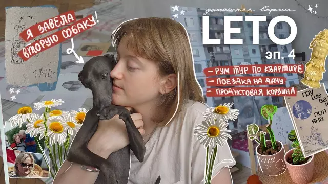 6 Творческая жизнь для жизни с собаками