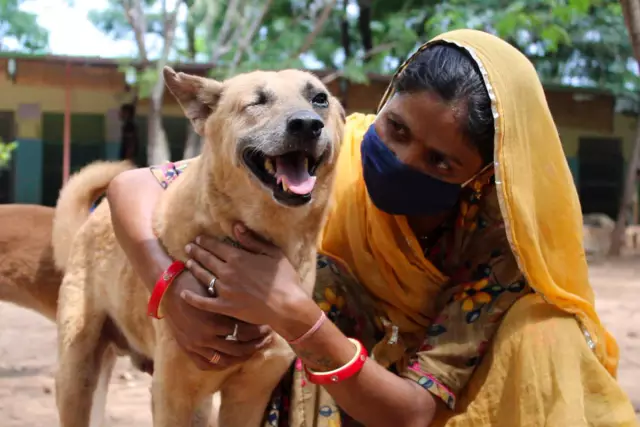 Animal Aid Unlimited улучшает жизнь многих уличных собак Индии