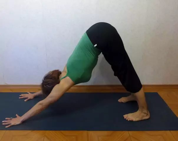 5 способов сделать вашу собаку прогулкой Подробнее Zen