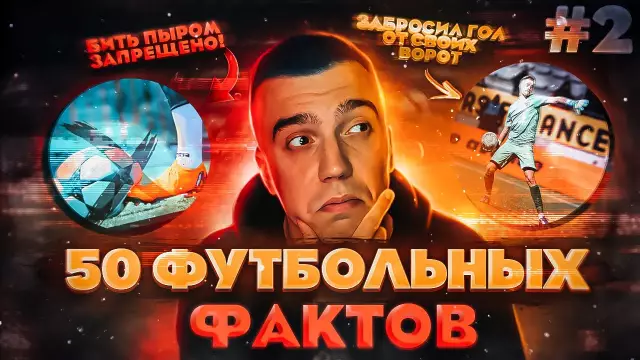9 вещей, которые каждый любитель собак должен делать во Флориде