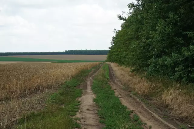 Как я нашел квартиру для завтрака в Нью-Йорке