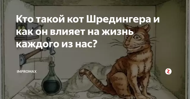 Кто такой кот Шредингера? Мы объясняем это людям кошки