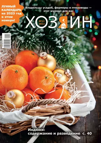 Встречайте леди Пиппу Хэтэуэй, Instagram "Народная принцесса"