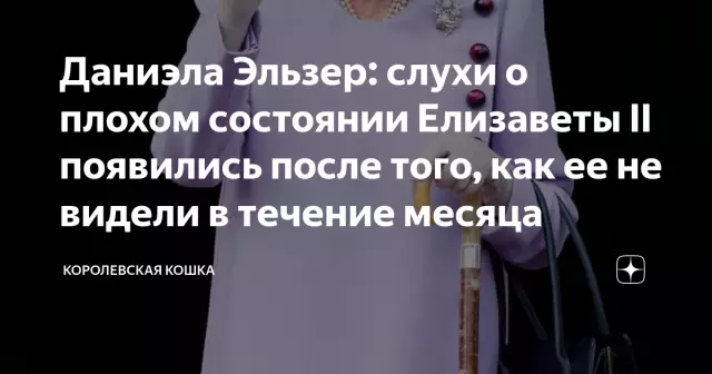 Слухи верны: моя кошка является наркоманом