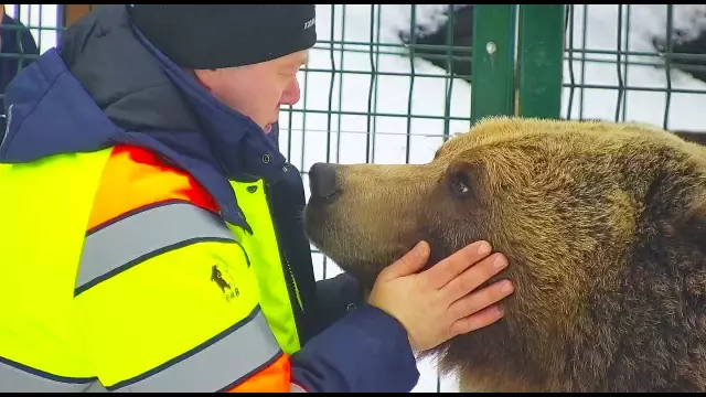 Познакомьтесь с бонсай, который всего лишь наполовину бульдогом, но полным любви