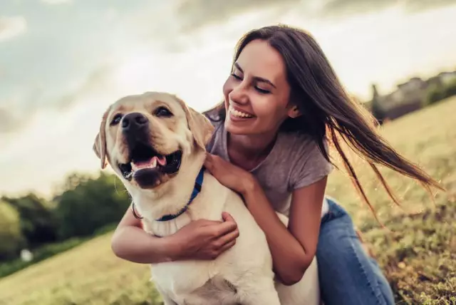 Принудительные причины, чтобы дать вашей старшей собаке Heart-Healthy Hawthorn