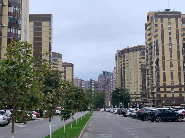 Мы заходим на Рози Инбред Чихуахуа