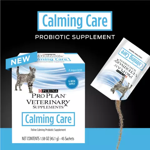 Выставляйте напоказ свой праздничный стиль кота, помогая нуждающимся кошкам